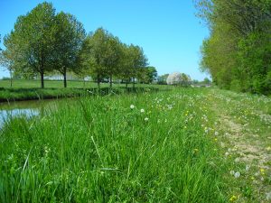 canal_du_nivernais-limanton My Loire Valley