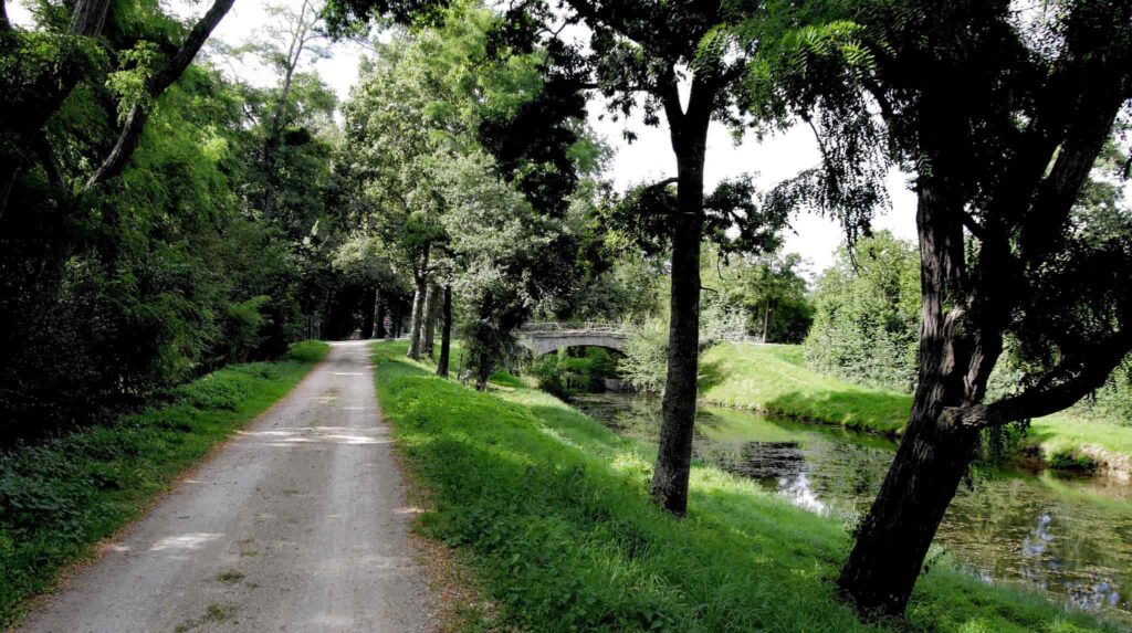 canal-lateral -loire-jean-francois-gornet-cc