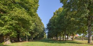 chateau-allee_0