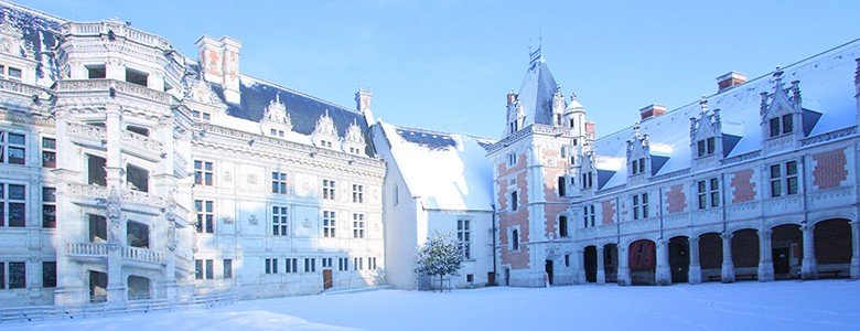 noel-au-chateau-royal-blois-2016-yboukef
