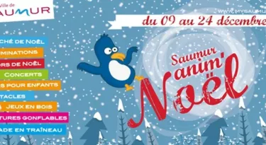 saumur-anim-noel-animations-fetes-fin-annee-2016