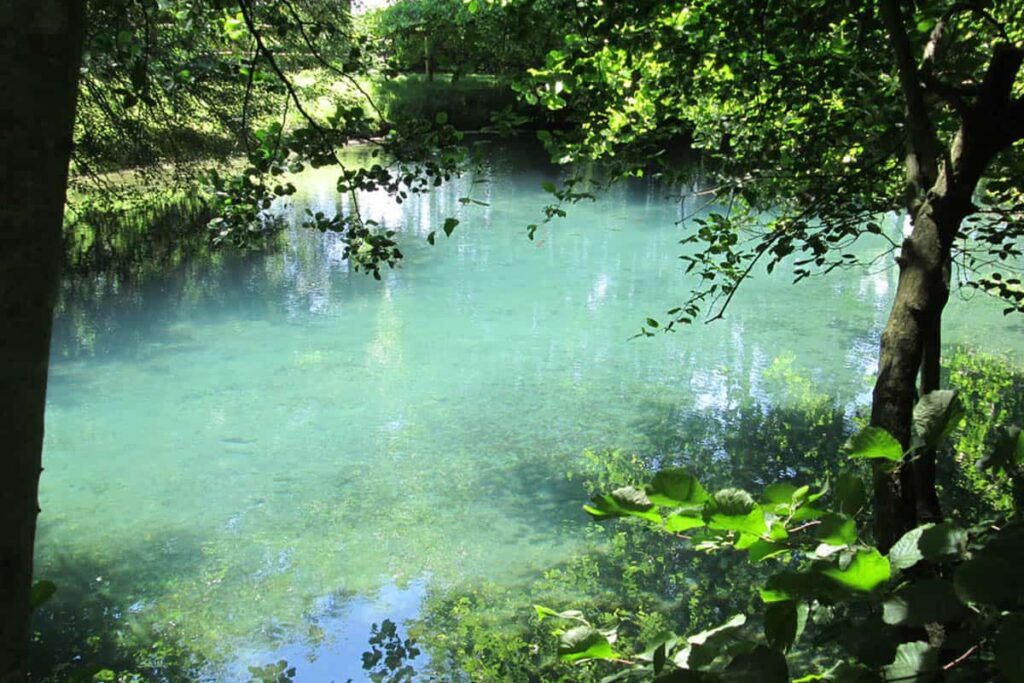 Eaux Bleues de Tavers