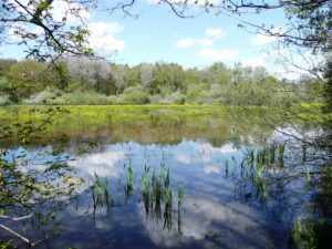 etang-domaine-du-ciran-tourisme-loiret