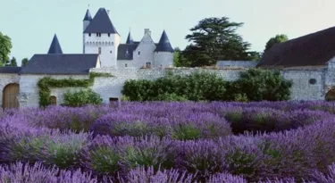 jardins-medievaux-centr-val-de-loire-le-rivau