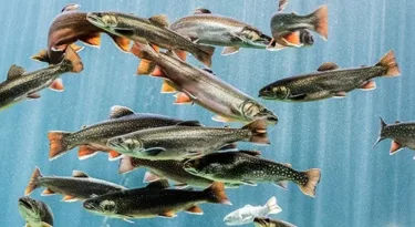 grand-aquarium-de-touraine-amboise-val-de-loire