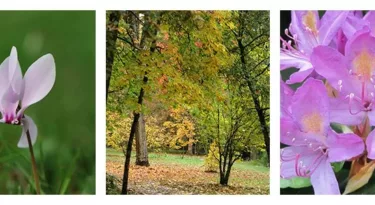 arboretum-national-des-barres-destination-familiale-loiret
