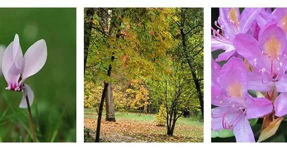 arboretum-national-des-barres-destination-familiale-loiret