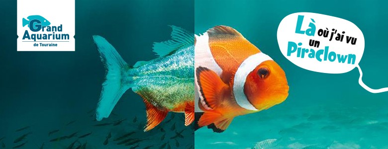 grand-aquarium-touraine-parcours-sensoriel-nouveaute-2017-amboise-piraclown
