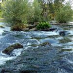 canal du Loing David Fleg CC