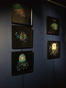 exposition-meduse-yannick-goorden-grand-aquarium-touraine-03