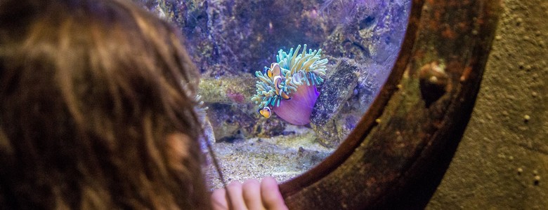 grand-aquarium-touraine-amboise-val-de-loire-coulisses