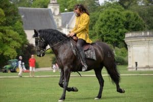 Cavalier - Spectacle equestre Chambord - My Loire Valley