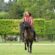 JAIME SANABRA - Spectacle equestre Chambord - My Loire Valley