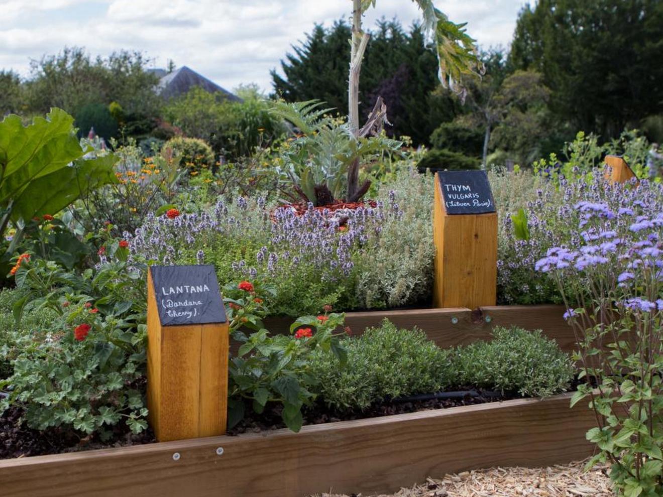 Jardin Des Senteurs