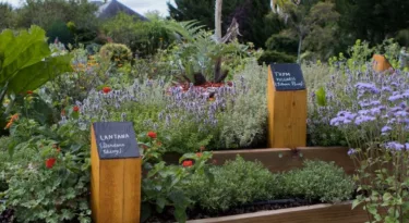 Jardin des senteurs - © Parc Mini-Châteaux