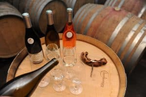 vin val d'ardoux-Clos Saint Fiacre