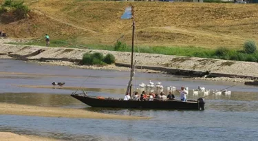 balades-en-loire-orleans-metropole-ete-2017