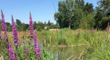 Le Bellegardois regroupe 12 communes, autour de la ville de Bellegarde. Pendant votre séjour dans la capitale de la rose, nous vous proposons d’aller plus loin et de parcourir le Bellegardois pour une escapade un peu plus insolite. Au programme : un moulin, des villages de charme et une magnifique zone naturelle. En avant !