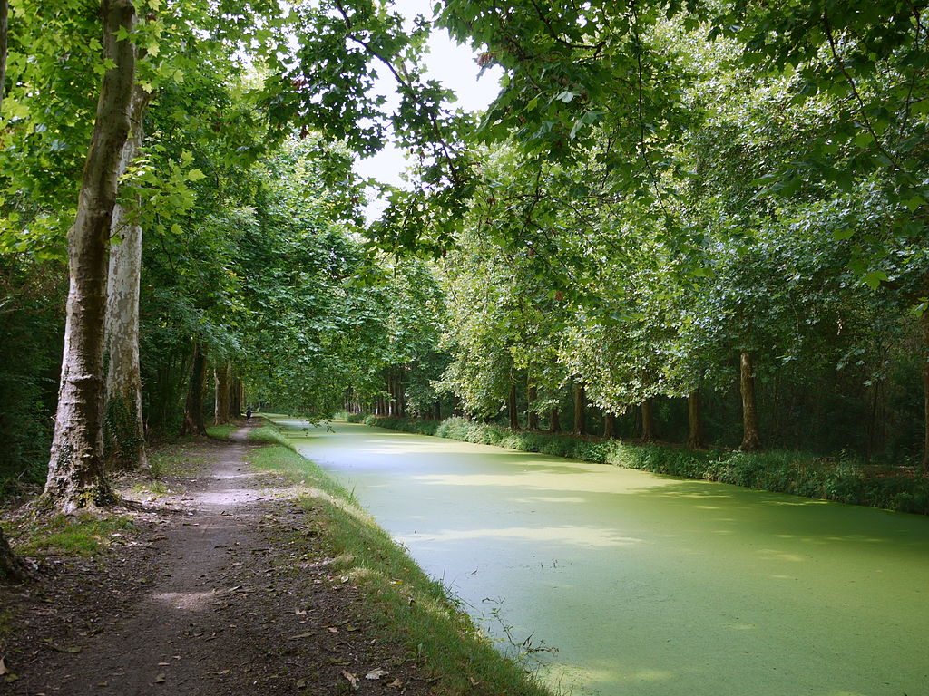 Le Canal d'Orléans credits to Pline (cc) - My Loire Valley
