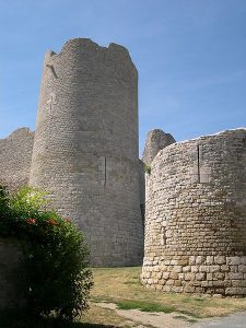 La forteresse médiévale de Yèvre-le-Châtel credits to patrick giraud - My Loire Valley