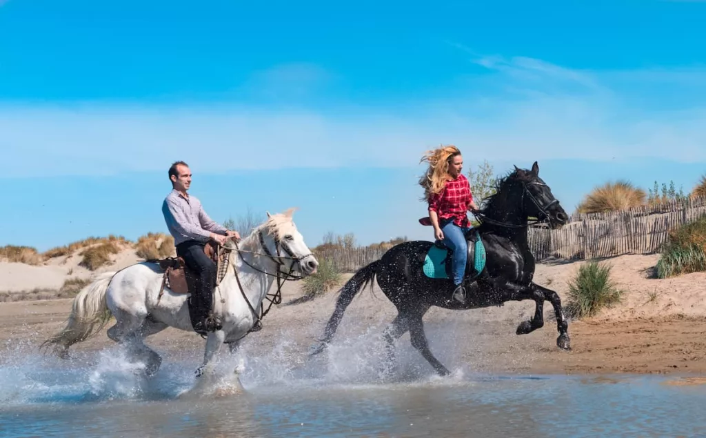 Balade à cheval entre la Loire et la forêt d’Orléans !

Crédit photo : Envato