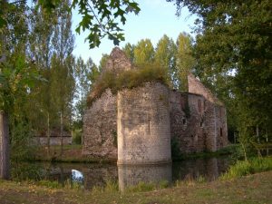 Forteresse de Briquemault - Sainte-Geneviève-des-Bois credits to OT châtillon coligny - My Loire Valley