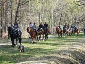 Randonnées à cheval - La Ferme Equestre du Krouge credits to OTI Val de Loire & foret d'orléans - MY Loire Valley