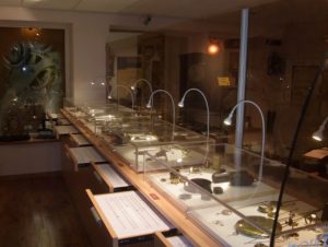 Le coin découvertes - Musée Horloger de Lorris credits to les amis du musée georges lemoine - My Loire Valley