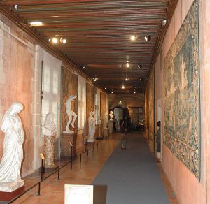 Musée des beaux-arts de Blois credits to MFSG - My Loire Valley