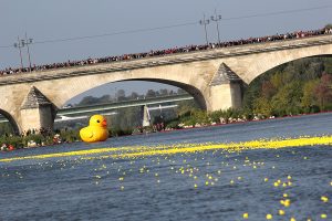 Duck Race - Festival de Loire credits to a lasnier - My Loire Valley