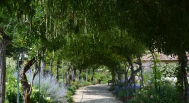 Apremont-sur-Allier Jardin