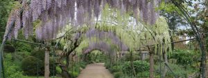 parc floral apremont sur allier- My Loire Valley