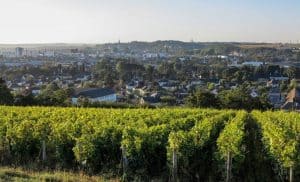 Vignes de Touraine - My Loire Valley