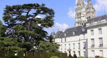Musée des beaux arts de Tours