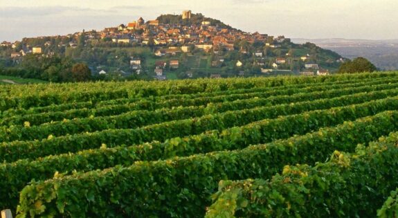 berry-sancerre-photo-Remy-Lacroix1320x990