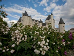 pivoines-chateau-rivau 