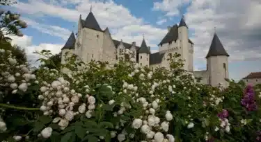 pivoines-chateau-rivau 1320x990