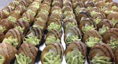 loiret-escargots-presentation