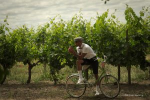 Anjou vélo vintage - Jean-Michel Rafin cc - My Loire Valley