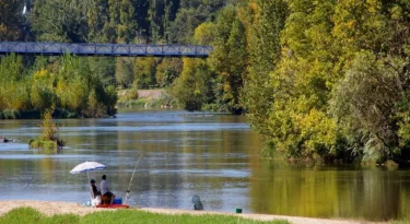 Bord de Loire - Daniel Jolivet - cc - My Loire Valley