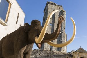 Musée Préhistoire du Grand-Pressigny - (c) Stevens_Frémont - My Loire Valley