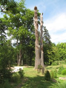 Sculpture bois Arboretum des Barres - BasicDesign - My Loire Valley