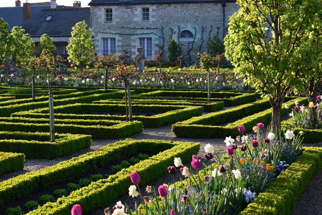Tulipes © Château et jardins de Villandry