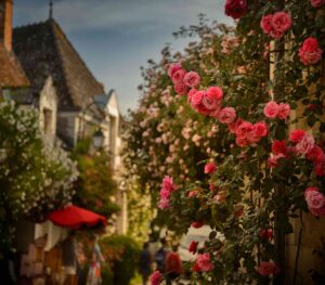 Chédigny, Village Jardin - OT Loche Touraine Côté Sud - My Loire Valley