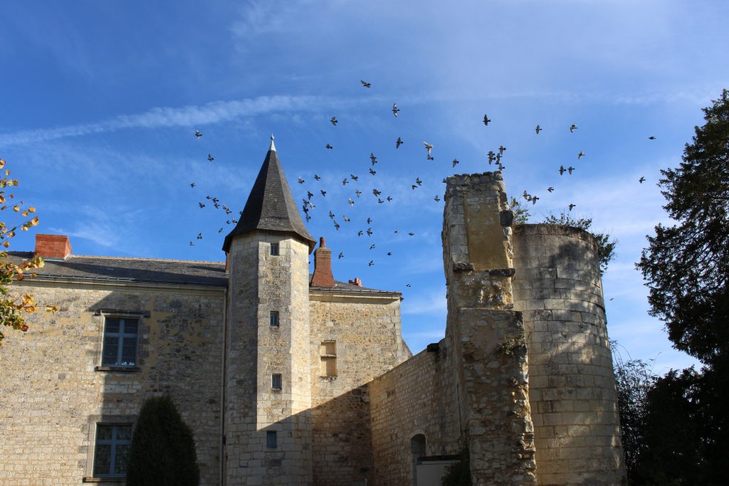 château Ste-Maure - My Loire Valley