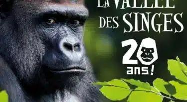 vallée des singes - 20 ans