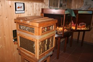 museevivantruche - musée de l'apiculture - (c)