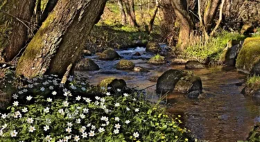 narvau-gorge-morvan-nièvrer(cc)-luctheo