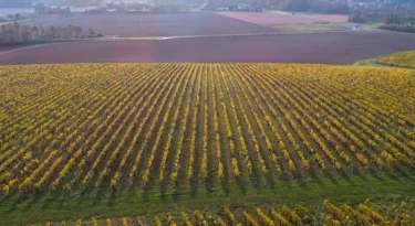 vue-aerienne-vignobles-valmer-©Charly'sDrone