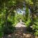 Jardins de Drulon - Jardins secrets du cher - © Tourisme & Territoires du Cher -M. Pierson